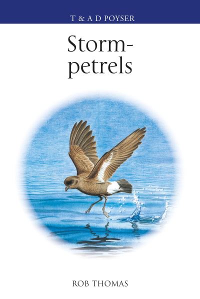 The Storm-petrels - Rob Thomas - Boeken - Bloomsbury Publishing PLC - 9781472985811 - 18 juli 2024