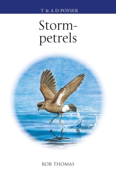 Cover for Rob Thomas · The Storm-petrels (Gebundenes Buch) (2024)