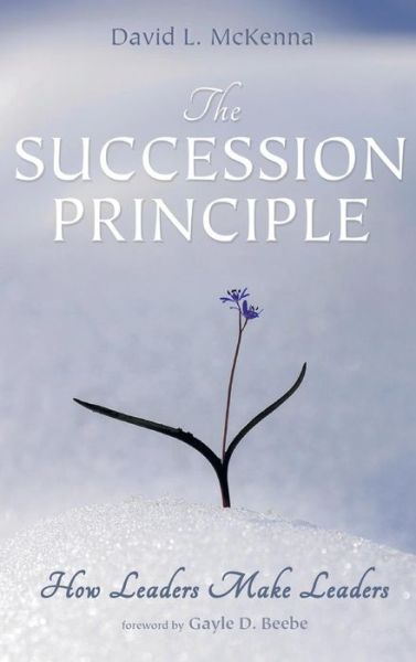 Cover for David L McKenna · The Succession Principle (Gebundenes Buch) (2014)