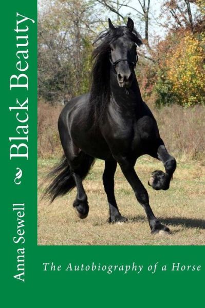 Cover for Anna Sewell · Black Beauty (Paperback Book) (2016)