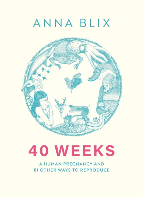 Cover for Anna Blix · 40 Weeks: What Humans and 81 Other Species Expect When They're Expecting (Paperback Book) (2025)