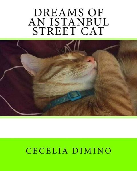 Cover for Cecelia Dimino · Dreams of an Istanbul Street Cat (Paperback Bog) (2015)