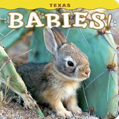 Cover for Steph Lehmann · Texas Babies! (Hardcover Book) (2016)