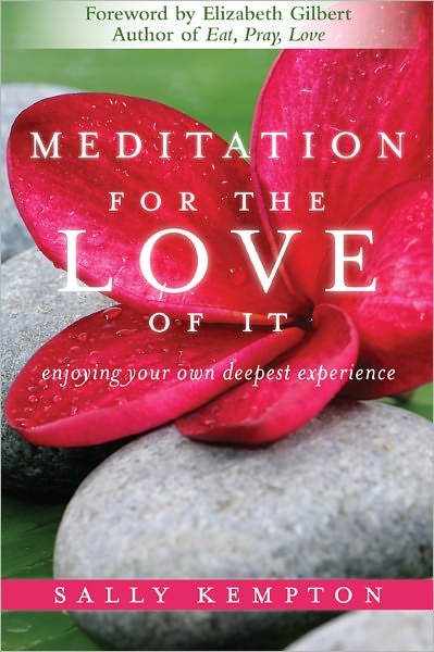 Meditation for the Love of It: Enjoying Your Own Deepest Experience - Sally Kempton - Böcker - Sounds True Inc - 9781604070811 - 2011