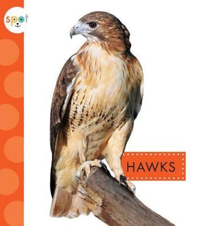 Cover for Mari C. Schuh · Hawks (Book) (2019)