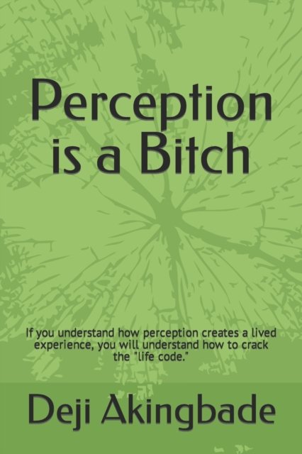 Cover for Deji Akingbade · Perception Is a Bitch (Bok) (2018)