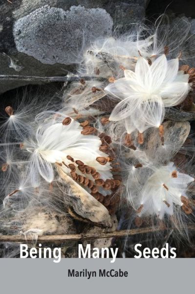 Cover for Marilyn McCabe · Being Many Seeds (Paperback Book) (2020)