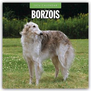 Cover for Red Robin · Borzois 2026 Square Wall Calendar (Paperback Book) (2025)