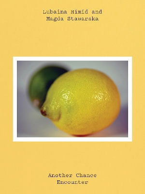 Cover for Lubaina Himid (Paperback Book) (2025)