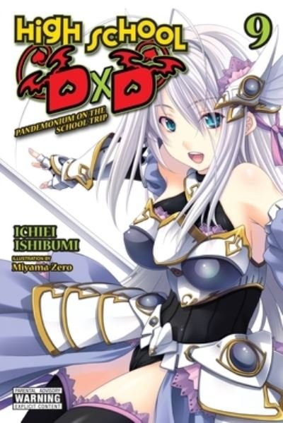 Cover for Ichiei Ishibumi · High School DxD, Vol. 9 (light novel) (Paperback Bog) (2022)