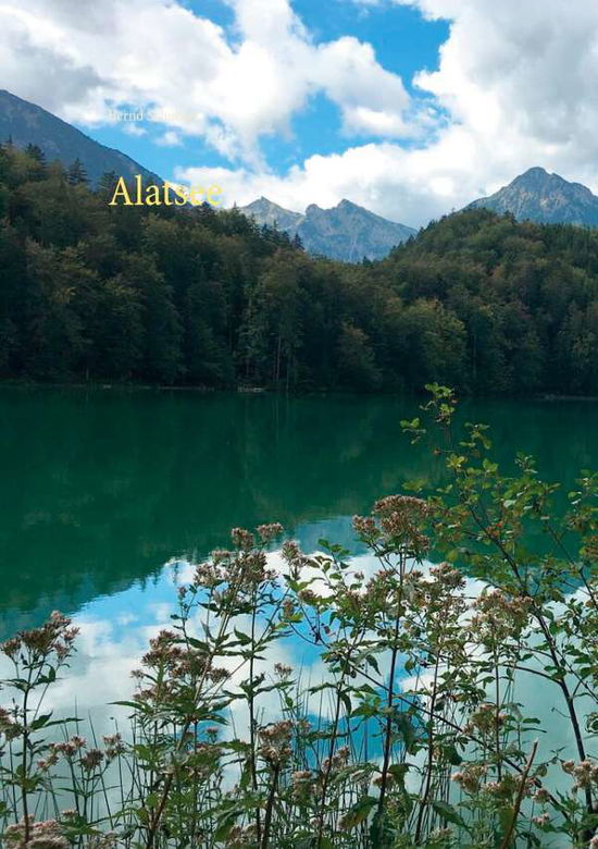 Cover for Schubert · Alatsee (Buch) (2020)