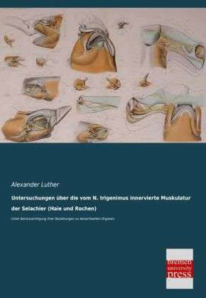Cover for Luther · Untersuchungen über die vom N. (Book)