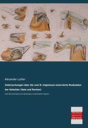 Untersuchungen über die vom N. - Luther - Livros -  - 9783955624811 - 