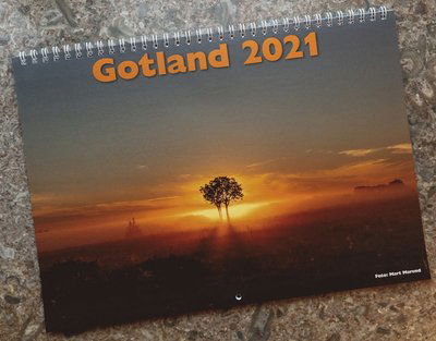 Cover for Mart Marend · Gotlandsalmanackan 2021 (Spiral Book) (2020)