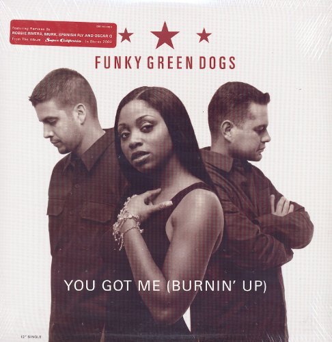 Cover for Funky Green Dogs · You Got Me (LP) (1990)