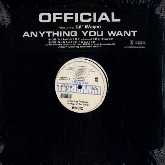 Cover for Official · Anything You Want (LP) (1990)