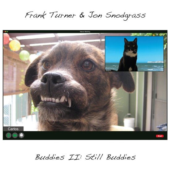 Frank Turner & Jon Snodgrass · Buddies Ii: Still Buddies (LP) (2020)