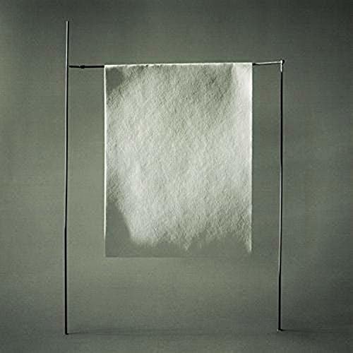 Cover for Sylvain Chauveau · Simple (LP) (2020)