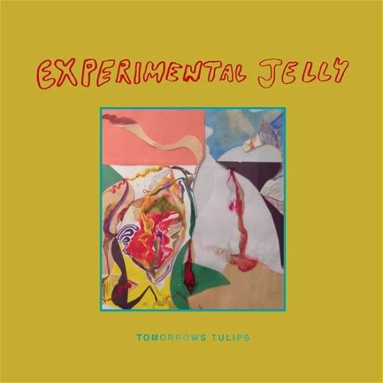 Cover for Tomorrows Tulips · Experimental Jelly (LP) (2013)
