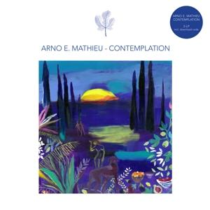 Cover for Arno E. Mathieu · Contemplation (LP) (2023)