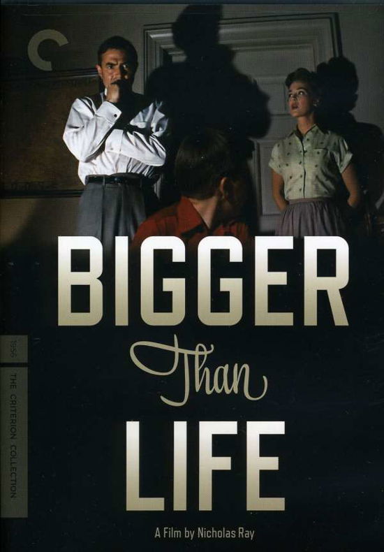 Cover for Criterion Collection · Bigger Than Life / DVD (DVD) (2010)