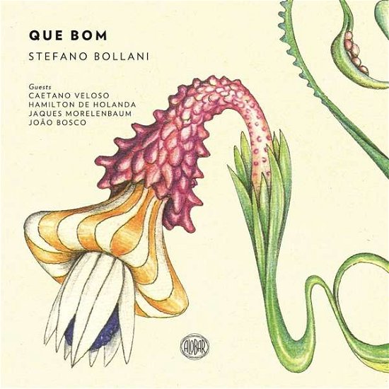 Cover for Bollani Stefano · Que Bom (CD) (2018)