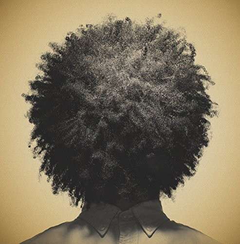 Cover for Wyatt Cenac · Brooklyn (LP) (2014)