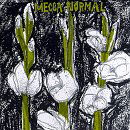 Cover for Mecca Normal · S T (VINYL) (2013)