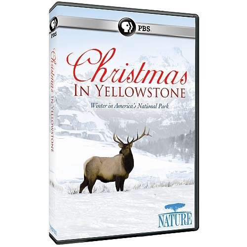 Cover for Nature: Christmas in Yellowstone (DVD) (2015)