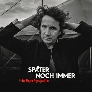 Cover for Felix Meyer · Später Noch Immer (VINIL) (2022)