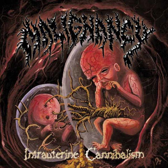 Cover for Malignancy · Intrauterine Cannibalism (Oxblood / White / Black Marbled Vinyl) (LP) (2025)