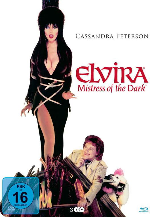 Elvira-herrscherin Der Dunkelheit Tin Box - Cassandra Peterson - Movies - GREAT MOVIES - 4015698015812 - September 28, 2018