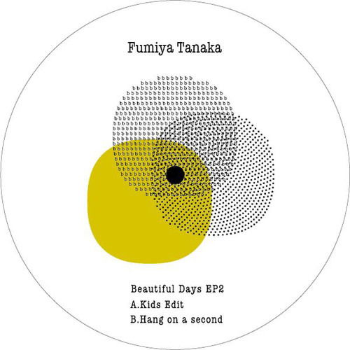 Cover for Fumiya Tanaka · Beautiful Days Vol. 2 (LP) (2017)