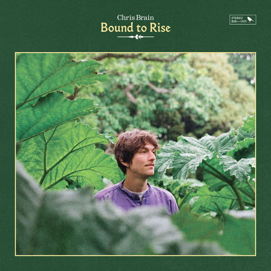 +Bound To Rise - Chris Brain - Muzyka - BIG SUR - 5051078993812 - 16 czerwca 2023