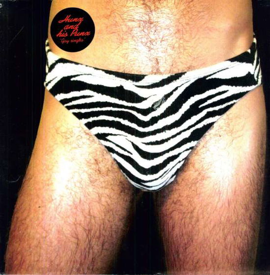 Cover for Hunx and His Punx · Gay Singles (LP) (2010)