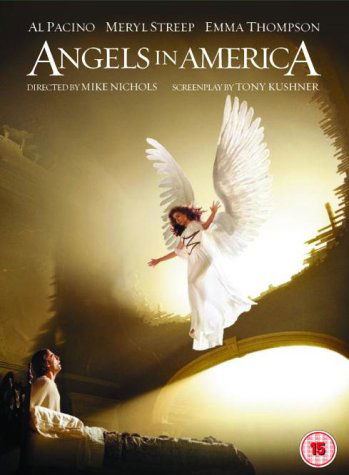 Angels In America - Complete Mini Series - Angels in America (Hbo) - Elokuva - Warner Bros - 7321900252812 - maanantai 13. syyskuuta 2004