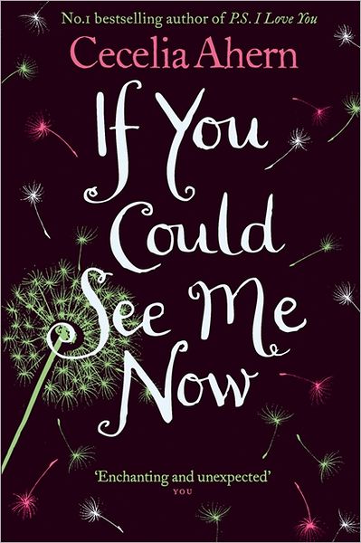 If You Could See Me Now - Cecelia Ahern - Libros - HarperCollins Publishers - 9780007260812 - 5 de noviembre de 2007