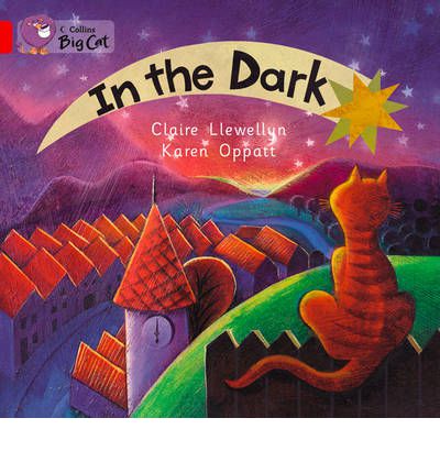 Cover for Claire Llewellyn · In the Dark (Paperback Book) (2012)