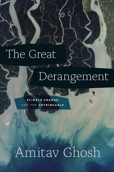 Cover for Amitav Ghosh · The Great Derangement: Climate Change and the Unthinkable - Berlin Family Lectures (Paperback Bog) (2017)