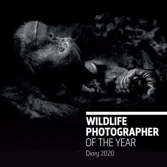 Cover for Natural History Museum · Wildlife Photographer of the Year Desk Diary 2020 - Wildlife Photographer of the Year Diaries (Hardcover Book) (2019)
