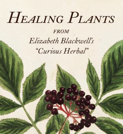 Cover for Healing Plants: From Elizabeth Blackwell's &quot;Curious Herbal&quot; - Tiny Folio (Hardcover bog) (2024)