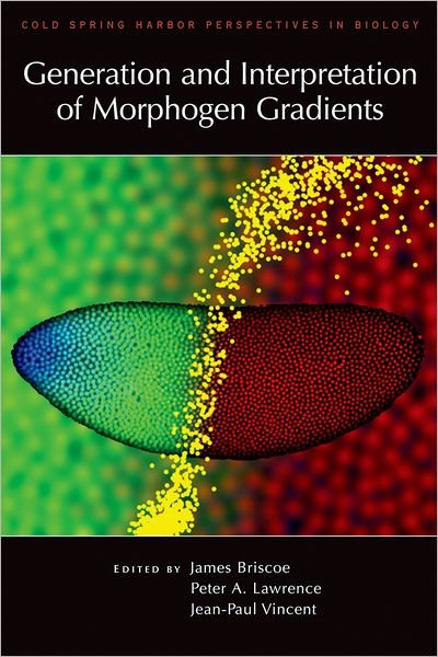 Cover for Generation and Interpretation of Morphogen Gradients (Hardcover Book) (2010)