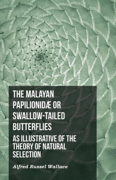 Cover for Alfred Russel Wallace · The Malayan Papilionidae or Swallow-tailed Butterflies, as Illustrative of the Theory of Natural Selection (Paperback Book) (2016)