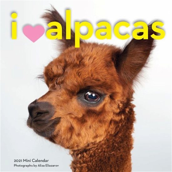 Cover for Workman Publishing · 2021 I * Alpacas Mini Wall Calendar (Calendar) (2020)
