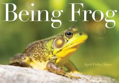 Cover for April Pulley Sayre · Being Frog (Book) (2020)
