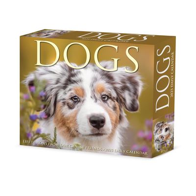 Cover for Willow Creek Press · Dogs 2025 6.2 X 5.4 Box Calendar (Calendar) (2024)