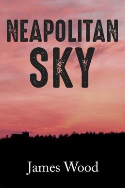 Cover for James Wood · Neapolitan Sky (Paperback Bog) (2018)