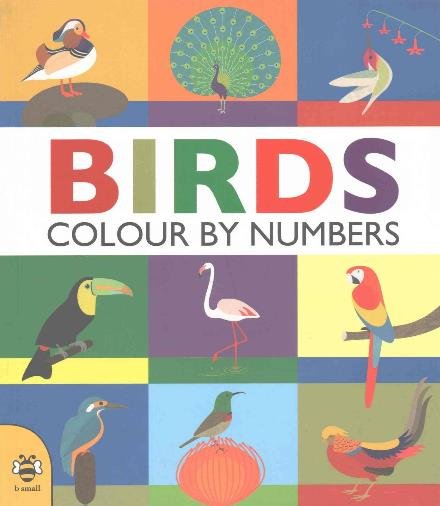 Cover for Sam Hutchinson · Birds - Colour by Numbers (Taschenbuch) (2016)