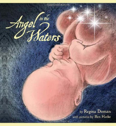 Cover for Regina Doman · Angel in the Waters (Paperback Book) (2006)