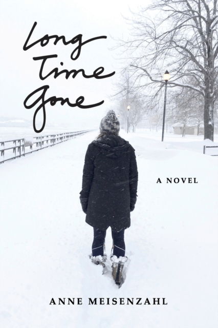 Cover for Anne Meisenzahl · Long Time Gone (Paperback Book) (2019)